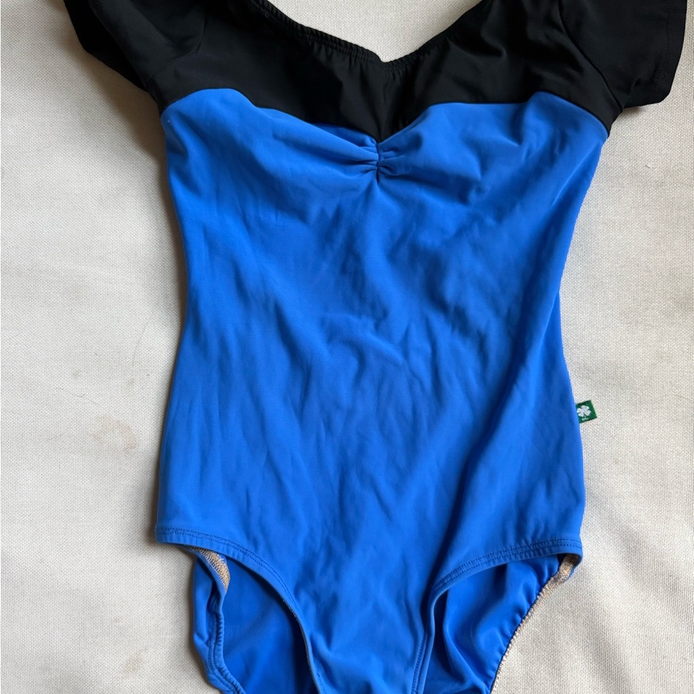 Lucky Leo Blue and Black Leotard